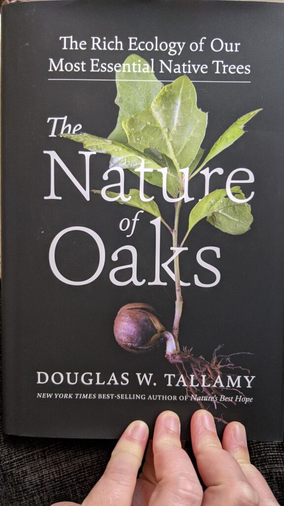 Cover of book The Nature of Oaks by Douglas W. Tallamy, which features a cluster of oak leaves and an acorn on a black background.