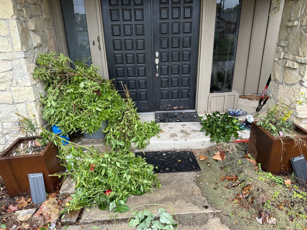 Piles of vegetable greenery on a concrete front poor with a black double door in the background 