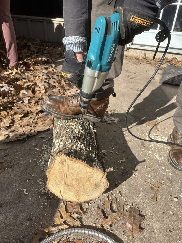The chef holds a log down with his booted foot while drilling holes wearing work gloves.  