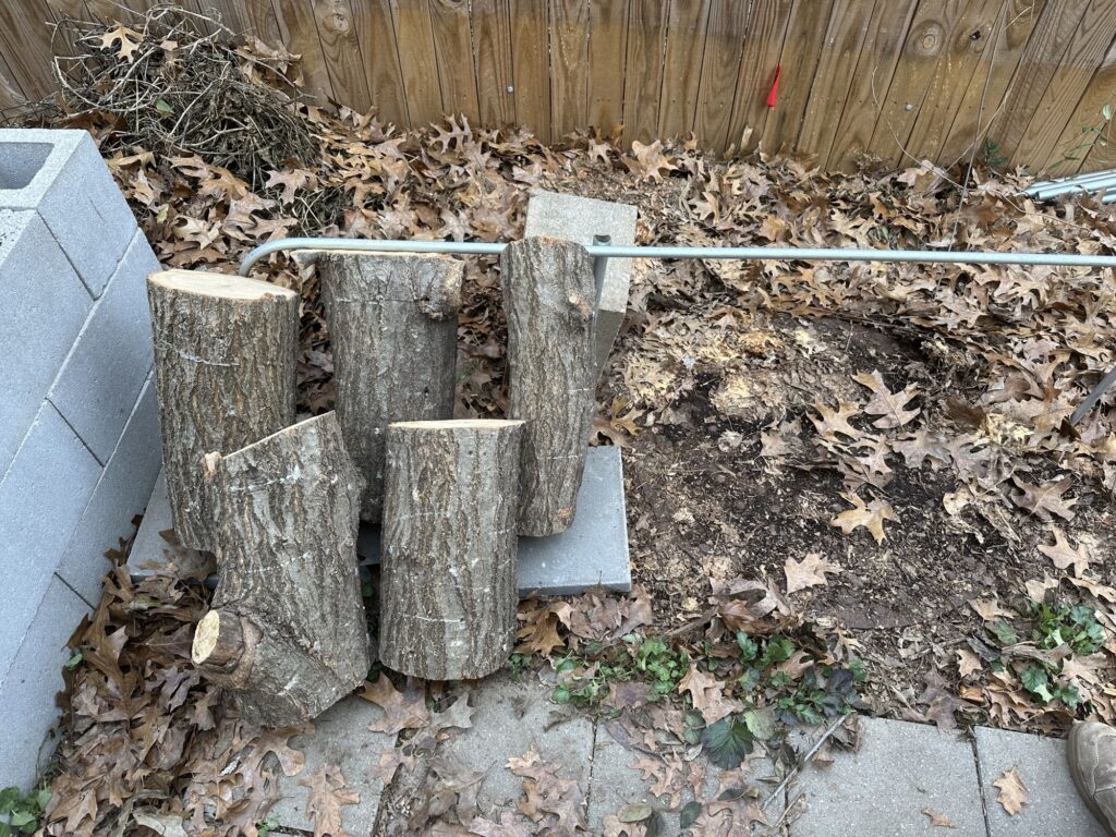 Five logs are leaned up against the metal conduit rail. 