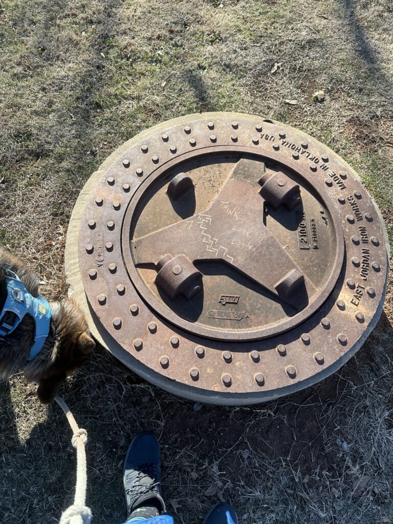 A big iron sewer or water cover with the tidy graffiti described in the caption as well as a small geometric pattern of partial squares at right angles.  Briar the dog sniffs the concrete under the lid. 
